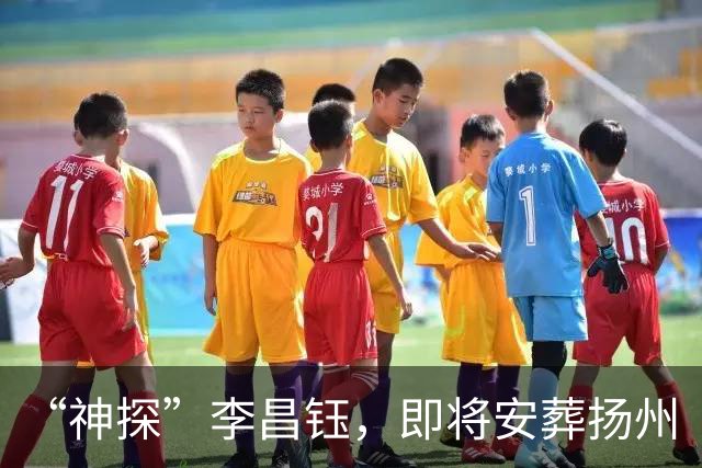 “神探”李昌钰，即将安葬扬州