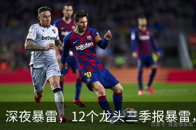 深夜暴雷，12个龙头三季报暴雷，龙头暴降738%，只有8个加速增长