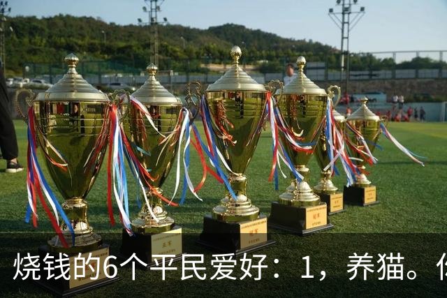 烧钱的6个平民爱好：1，养猫。你以为养的是猫…