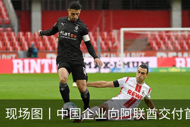 现场图丨中国企业向阿联酋交付首架飞行汽车