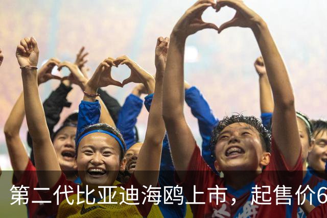 第二代比亚迪海鸥上市，起售价6.29万起！正面硬刚吉利星愿？