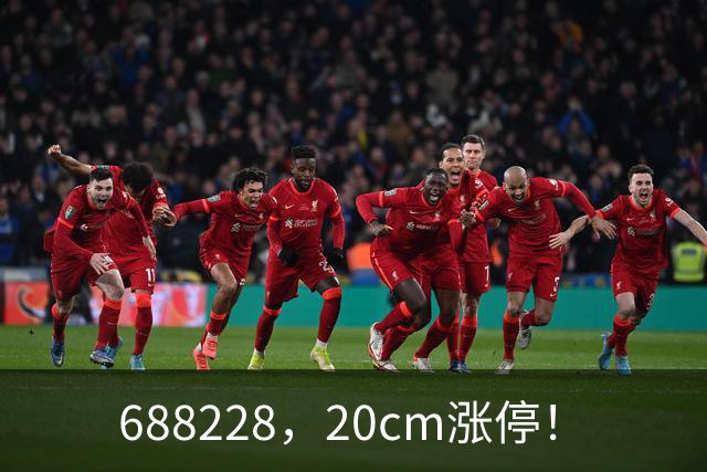688228，20cm涨停！
